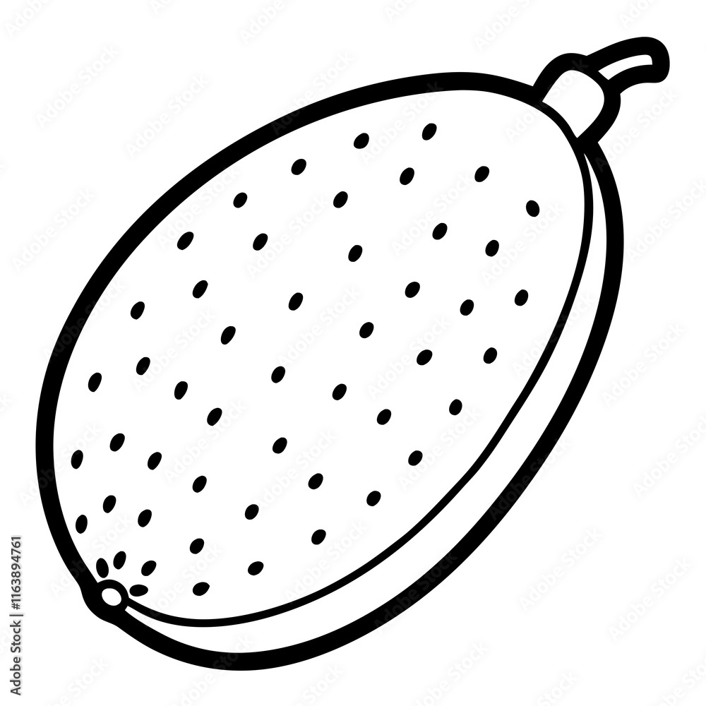 Vector Design of Finger Lime Vector Design of Finger Lime