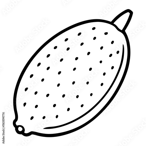 Vector Design of Finger Lime