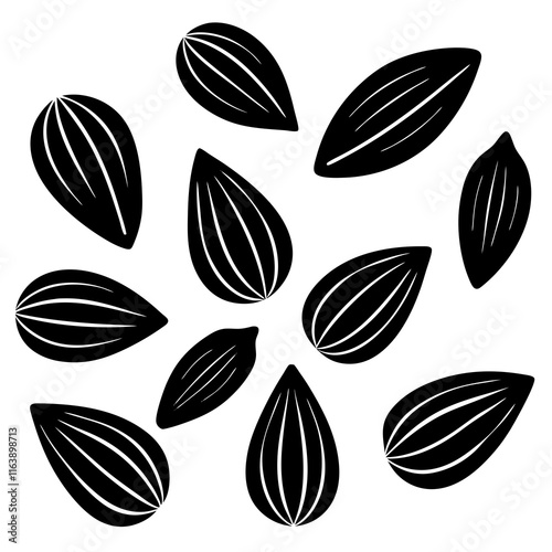 Black Seed Vector Art