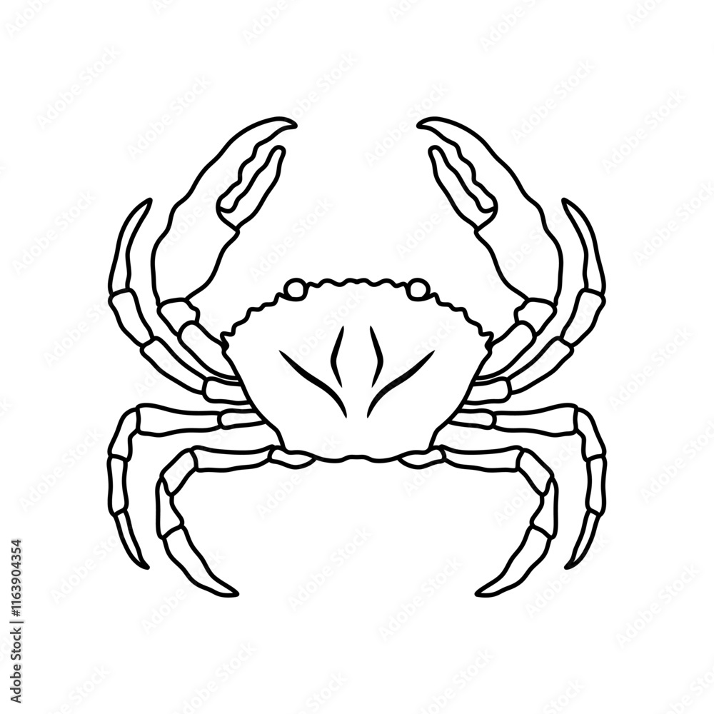 Fototapeta premium Crabs line art vector illustration. Seafood crab in outline for icon, logo, symbol .
