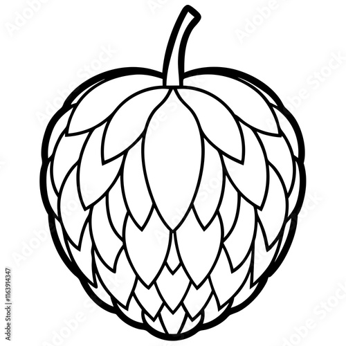 Balsam Apple Vector Artwork