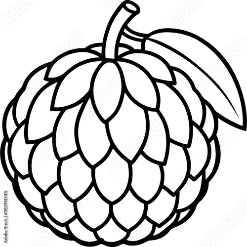 Balsam Apple Vector Artwork