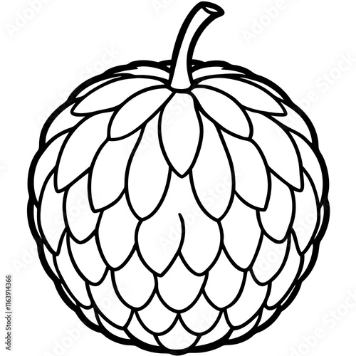 Balsam Apple Vector Artwork