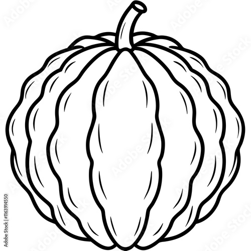 Balsam Apple Vector Artwork