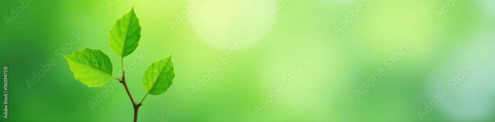 Fototapeta premium Single green sprig, delicate leaves, clean backdrop , spring, organic