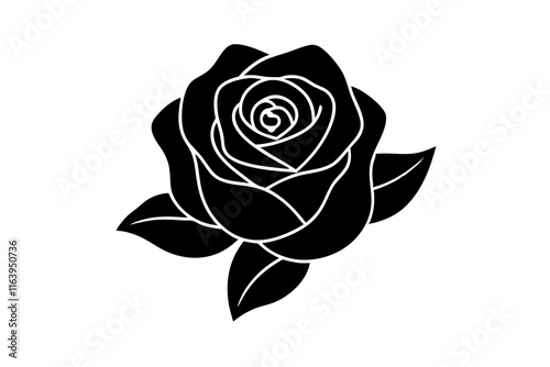 rose vector illustration