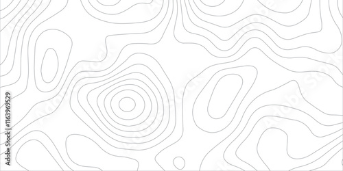 Abstract topography background. Topographic contour map subtle. Wavy paper curved reliefs White background. Geographic mountain relief curve lines background. Vector illustration.	