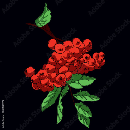 rowan sprig