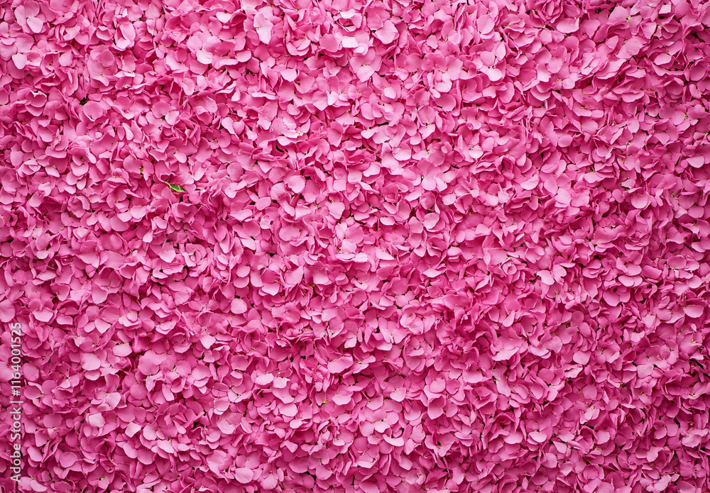 Fototapeta premium Pink roses in a seamless pattern form a romantic floral wall. The vibrant hues create a luxurious, celebratory backdrop.
