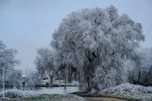 Ein kalter Wintertag an der niederbayerischen Donau photo