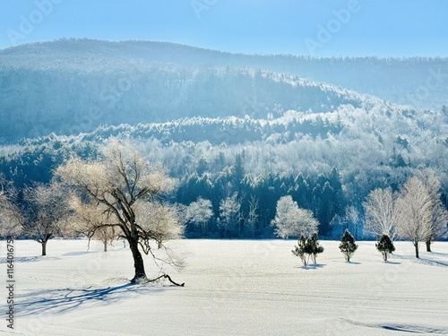 Winter outdoors in Windham, NY. Ski town in Catskill Mountains, golden hour. Sun beam and glare. White snow covered blanket landscape. Peak, meadow, ice glistens on trees and blue sky. Monochromatic. photo