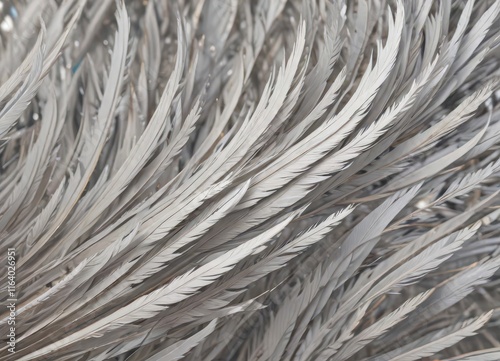 Swash of curved lines resembling feathers or birds,  bird,  swash,  curvilinear
