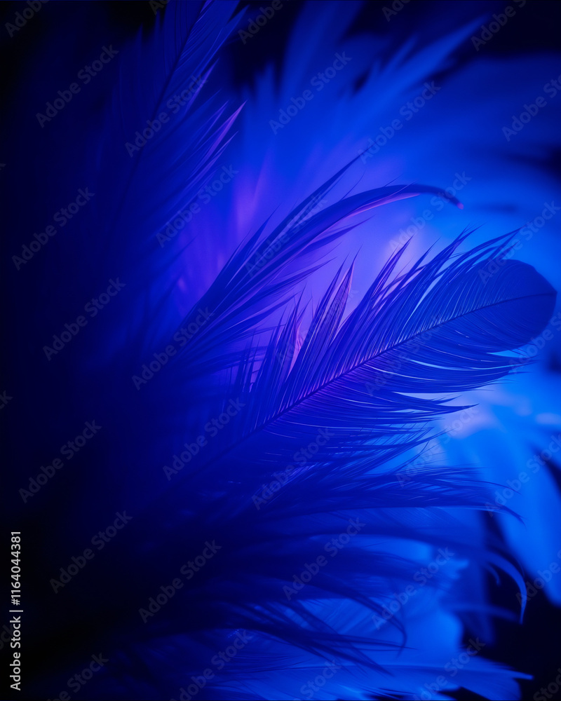 Obraz premium blue feathers background