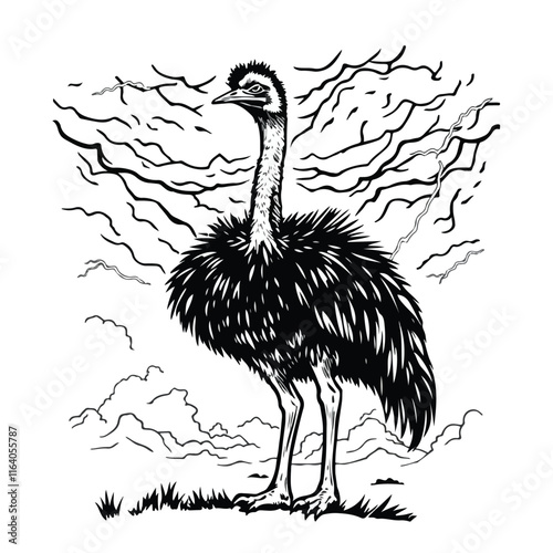 Ostrich icon vector line art illustration photo