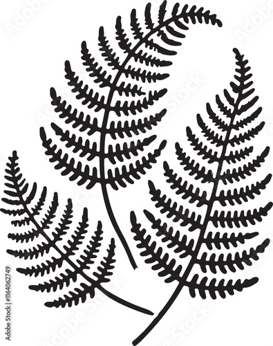 isolated Silver Fern Vector, Silver Fern silhouette, Silver Fern icon set  for logo ,Vector illustration, Vector Graphic,Silver Fern EPS 10 , clip art work