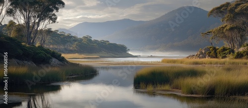 Serene Landscape of Wilsons Promontory National Park Featuring Calm Waters and Lush Greenery at the Shoreline with Mountainous Backdrop