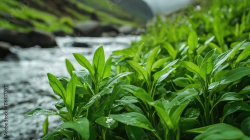 Lush green flora beside a serene waterfall flowing through a tranquil landscape with blurred background of mountains and river. photo