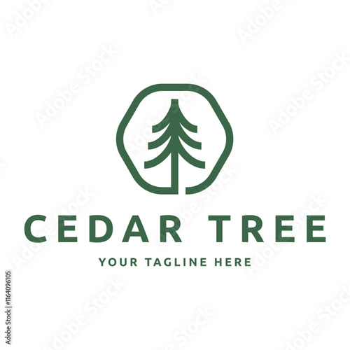 Cedar pine tree logo nature organic environment icon symbol illustration