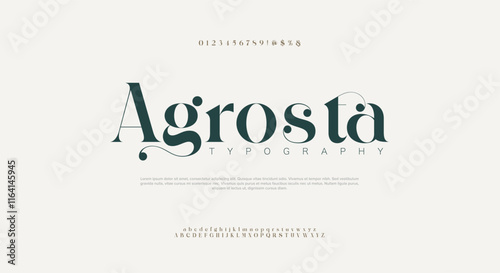 Elegant wedding alphabet letters logo font and number. Typography Luxury classic lettering serif fonts decorative vintage retro concept. vector illustration