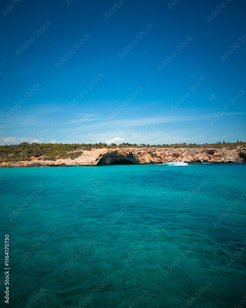 calas calas