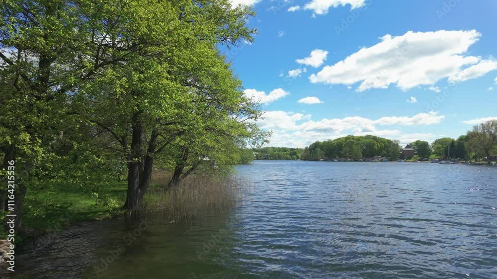 Scenic view of a lake with green surroundings of grass and trees on a sunny day Scenic view of a lake with green surroundings of grass and trees on a sunny day