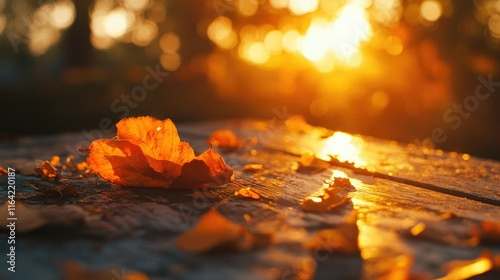 Autumn Leaves on Wood