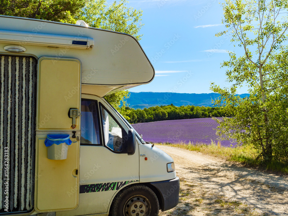 Caravan camping at lavender field, France Caravan camping at lavender field, France