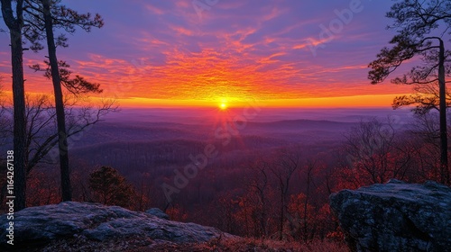 Vibrant winter sunset over a snowy landscape near a pine tree in a mountainou...