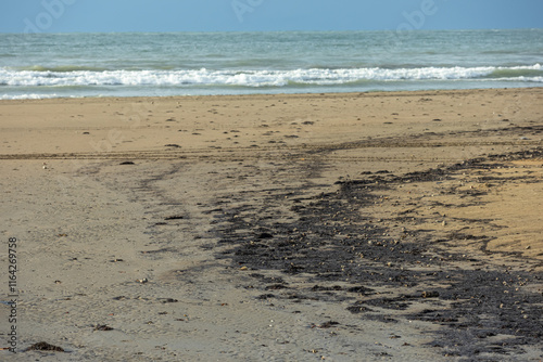 Fuel oil spill in the Kerch Strait. An ecological disaster that led to water pollution in the Black Sea and the death of animals. Pollution of nature. Fuel oil on the beach as a result of the spill.