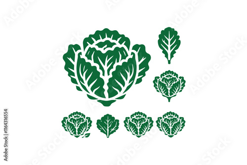 simple and unobtrusive Cabbage vector silhouette illustration isolated in white background
