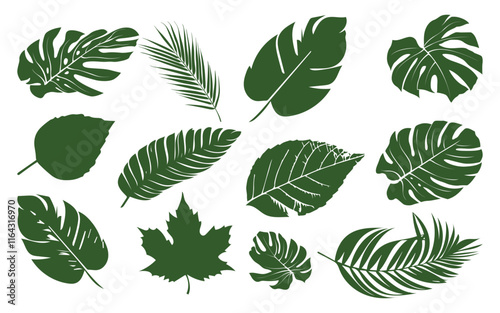 Collection of Leaf icon. Set of green leaf icons. Eco, natural, Leaves of trees and plants. vector illustration