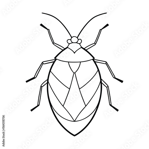 Shield Bug (Pentatomoidea) silhouette design, labeled line art vector illustration.