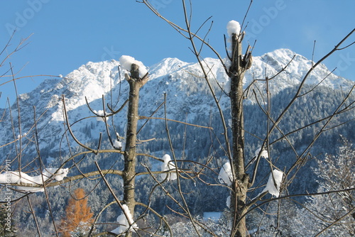 Schneegeschenke
