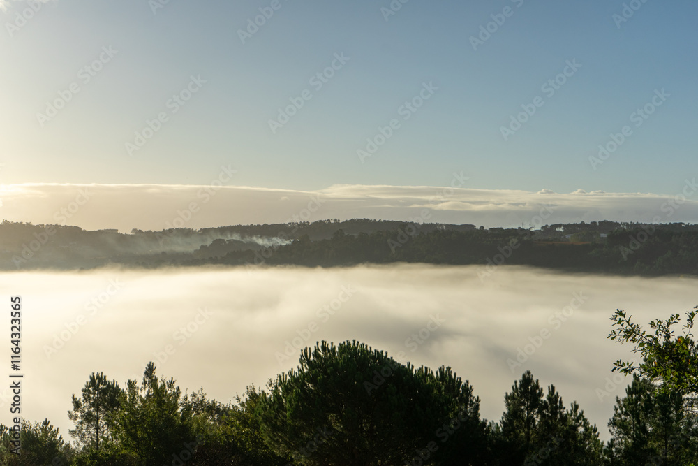 Foggy valley in the morning, with soft mist blanketing the landscape, creating a serene and mystical atmosphere under gentle daylight. Foggy valley in the morning, with soft mist blanketing the landscape, creating a serene and mystical atmosphere under gentle daylight.