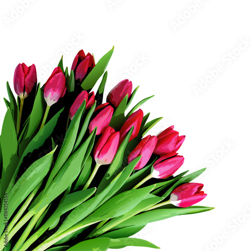 Beautiful bouquet of tulips with copy space vector illustration (5)