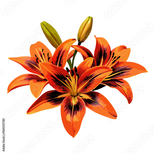 Bouquet of lily tiger color with a bud isolated  vector illustration (5)