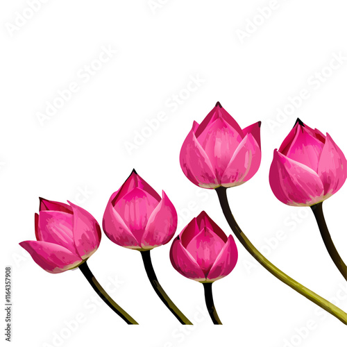 Pink lotus flower vector illustration (4)