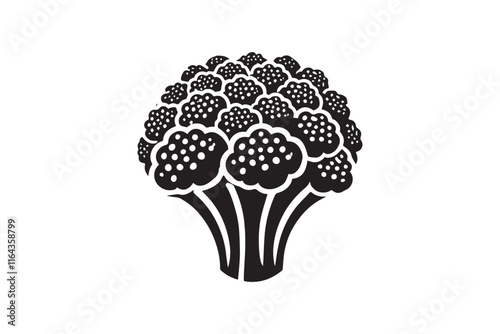 simple and unobtrusive cauliflower vector silhouette illustration isolated in white background

