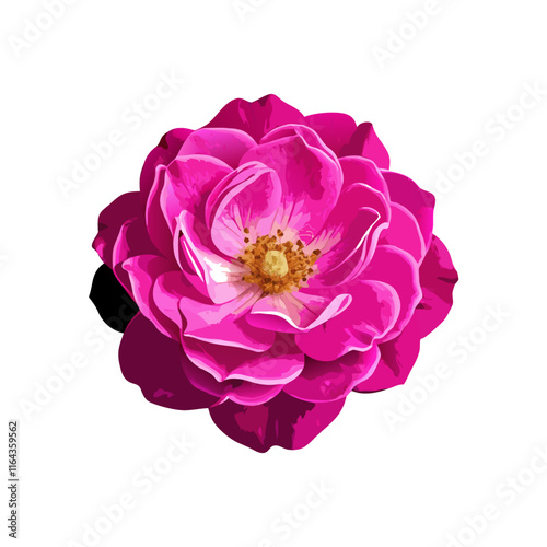 Wild light-pink rose isolated  vector illustration (4)