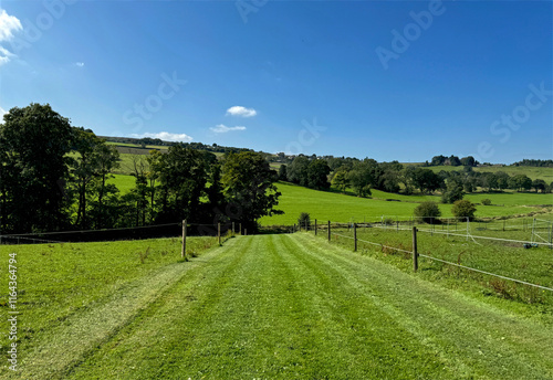 A neatly mowed path stretches across a verdant landscape under a clear blue sky. Rolling hills and scattered trees create a serene and lush countryside scene near, Barnoldswick, UK photo