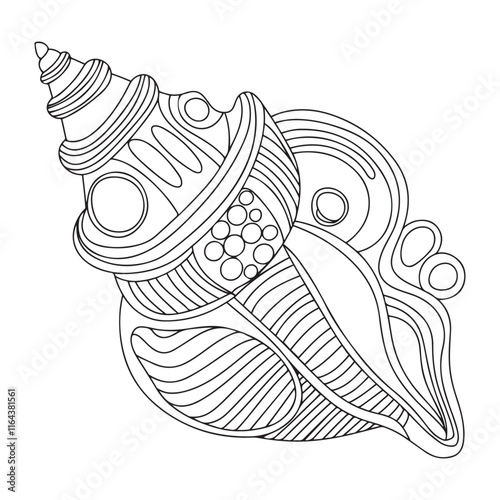 Seashell vector illustration. Black and white outline Seashell Coloring page for kids and adults. Page for relaxation and meditation. Vector illustration