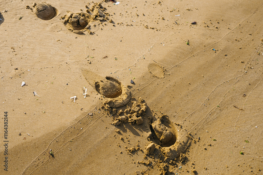 Obraz premium horse tracks in the sand. microplastics in the sand at sea