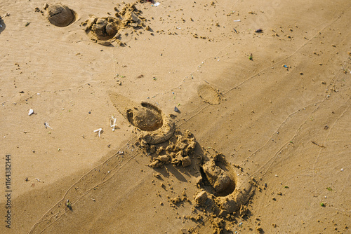 horse tracks in the sand. microplastics in the sand at sea