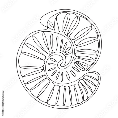 Seashell vector illustration. Black and white outline Seashell Coloring page for kids and adults. Page for relaxation and meditation. Vector illustration