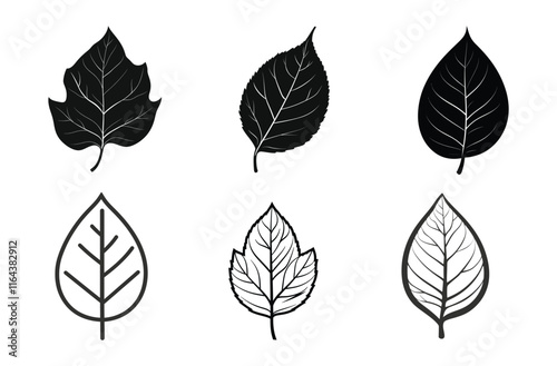 Set of Autumn Leaves Vector Silhouette Designs