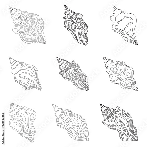 Set of hand drawn shells, clam, conch, nautilus clip art