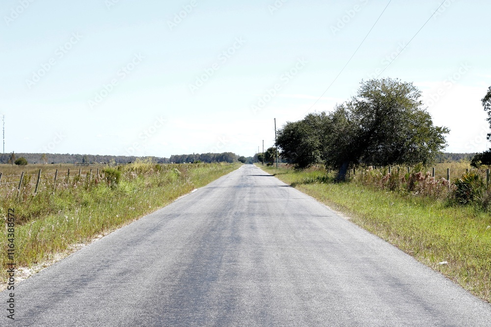 Country Road Country Road