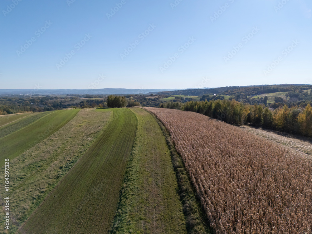 Aerial view of green and brown fields under a clear blue sky, showcasing the beauty of rural landscape and farmland Aerial view of green and brown fields under a clear blue sky, showcasing the beauty of rural landscape and farmland