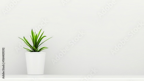 Wallpaper Mural  A potted plant resting atop a white shelf, adjacent to a white wall and opposite a white background Torontodigital.ca