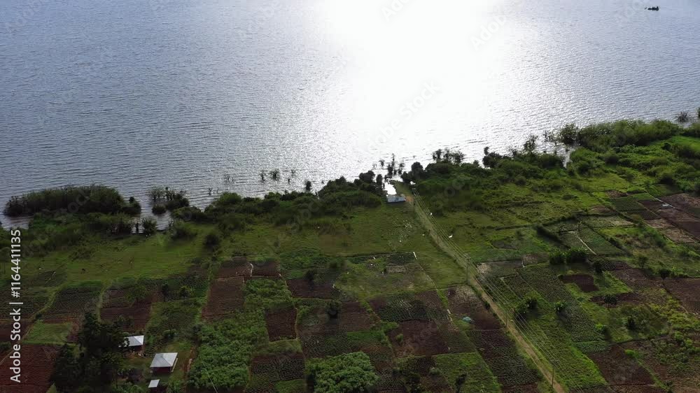 An aerial view of a village with traditional huts nestled among dense forests along the shores of Lake Victoria, Africa's largest freshwater lake. The lake's vast waters are vital to the region.